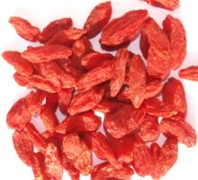 Kustovnice čínská - GOJI 2Kč