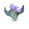 Flor de Arena - Tiquilia paronychioides