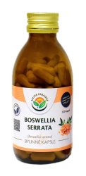 Boswellia serrata - kadidlovník kapsle 120 ks