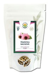 Echinacea - třapatka kořen