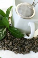 Čaj - Camellia sinensis
