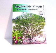 Rozinkový strom - Amelanchierova borůvka semena 4 Ks