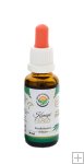 Konopí CBD - Cannabis sativa AF tinktura 30 ml