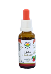 Guduchi - chebule srdčitá AF tinktura 30 ml