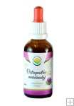 Ostropestřec mariánský AF tinktura 50ml