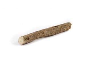 Lékořice lysá - Glycyrrhiza glabra