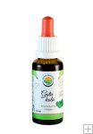 Gotu kola AF tinktura 30ml