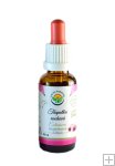 Echinacea - třapatka nachová AF tinktura 30ml