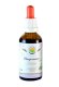 Bacopa monnieri - brahmi AF tinktura 50ml Bacopa monnieri - brahmi AF tinktura 50ml