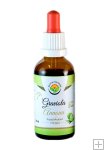 Graviola - Annona AF tinktura 50ml