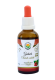 Guduchi - chebule srdčitá AF tinktura 50 ml Guduchi - chebule srdčitá AF tinktura 50 ml