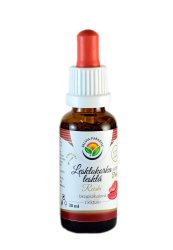 Lesklokorka lesklá AF tinktura 30ml