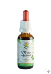 Moringa olejodárná AF tinktura 30ml