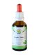 Jiaogulan Thailand AF tinktura 50ml Jiaogulan Thailand AF tinktura 50ml