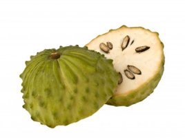 Graviola - Annona muricata