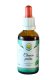 Chanca piedra AF tinktura 50ml Chanca piedra AF tinktura 50ml