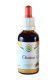 Chuchuasi AF tinktura 50ml Chuchuasi AF tinktura 50ml