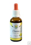 Damiána - Turnera diffusa AF tinktura 50ml