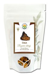 Čaga - chaga - rezavec šikmý