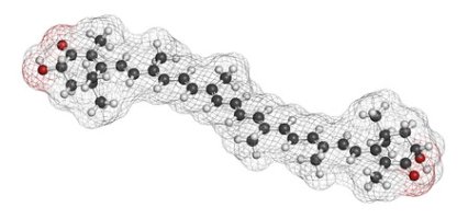 Haematococcus pluvialis - Astaxanthin