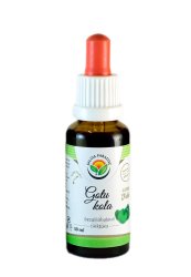 Gotu kola AF tinktura 30ml