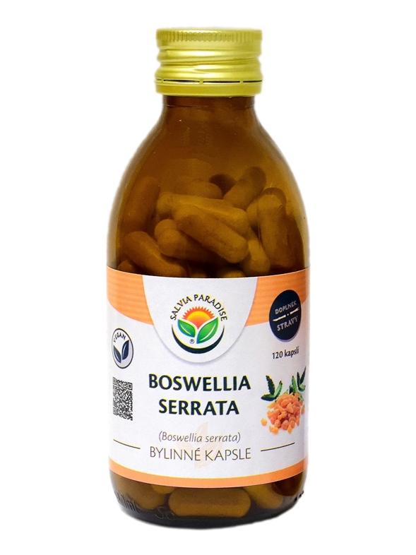 Boswellia serrata - kadidlovník kapsle 120 ks Zavřete