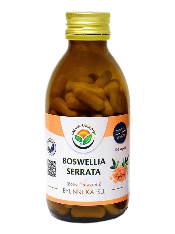 Boswellia serrata - kadidlovník kapsle 120 ks