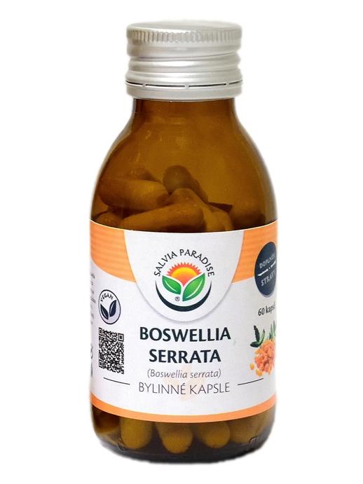 Boswellia serrata - kadidlovník kapsle 60 ks Zavřete
