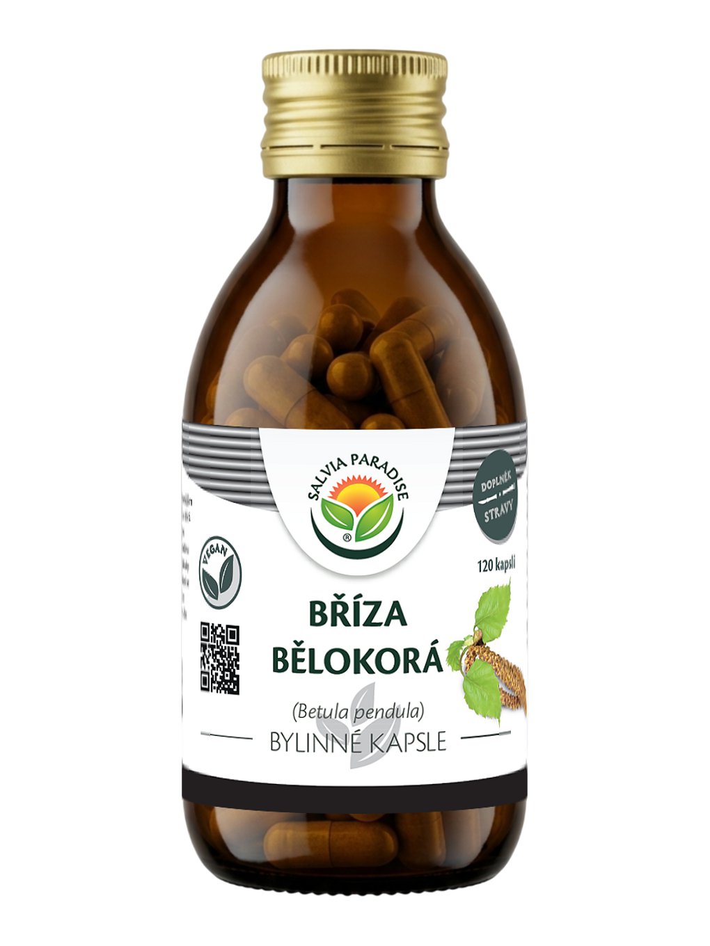 Bříza bělokorá kapsle 120 ks