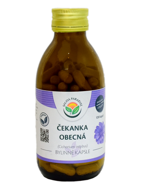 Čekanka kapsle 120 ks