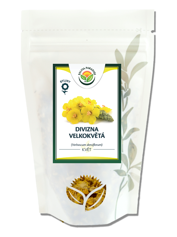 Divizna velkokvětá květ - Kliknutím na obrázek zavřete