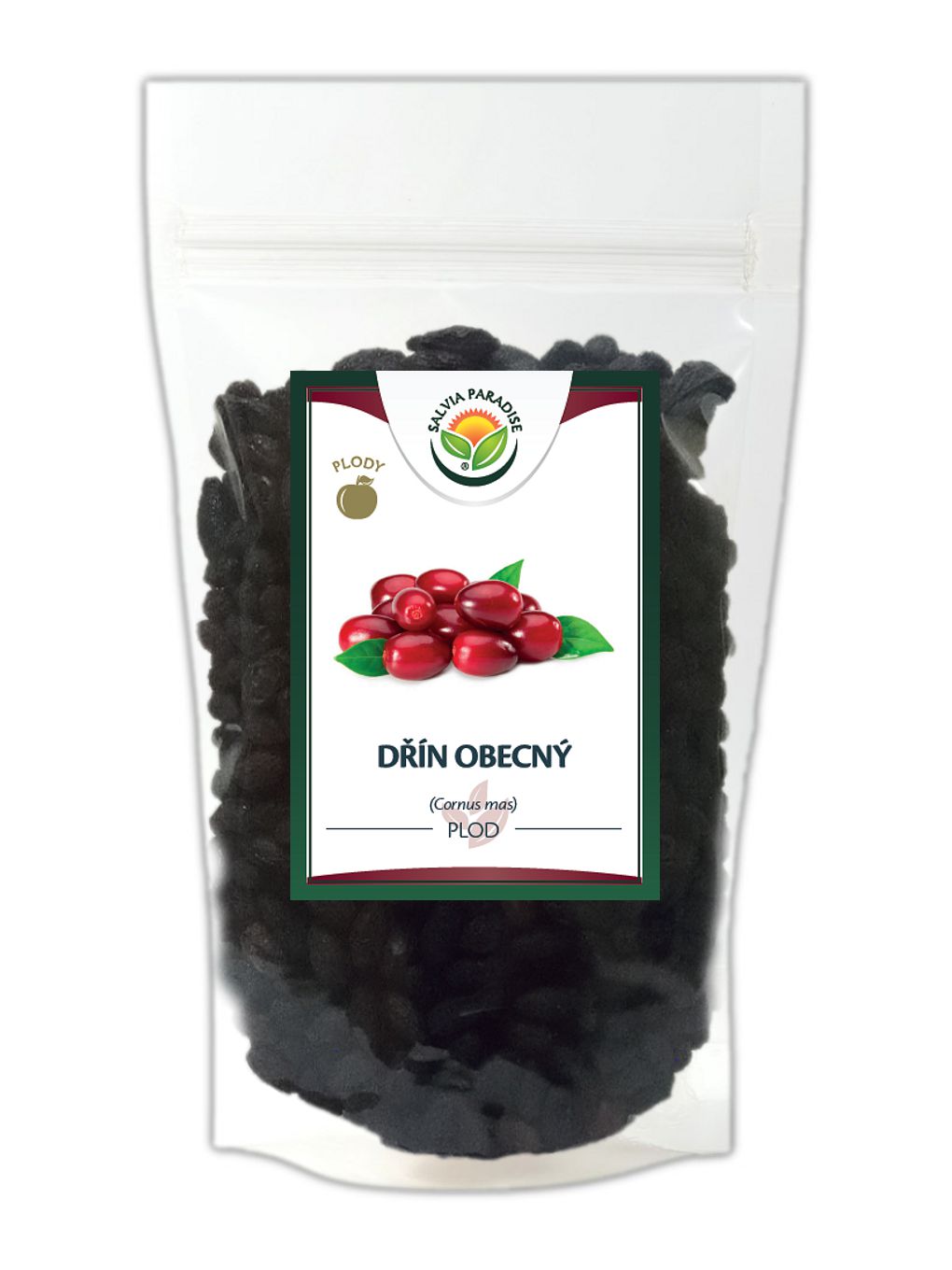 Dřín obecný plod