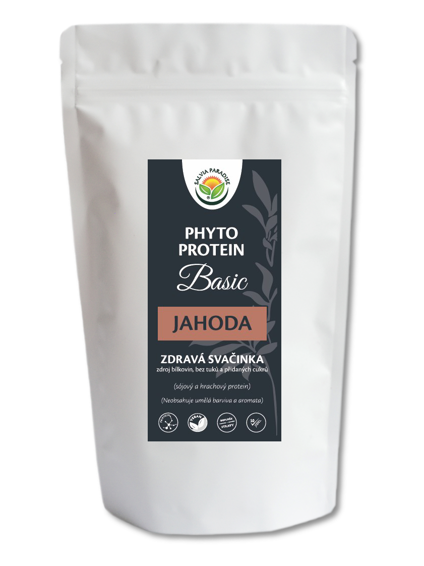 Phyto Protein Basic - jahoda 300 g