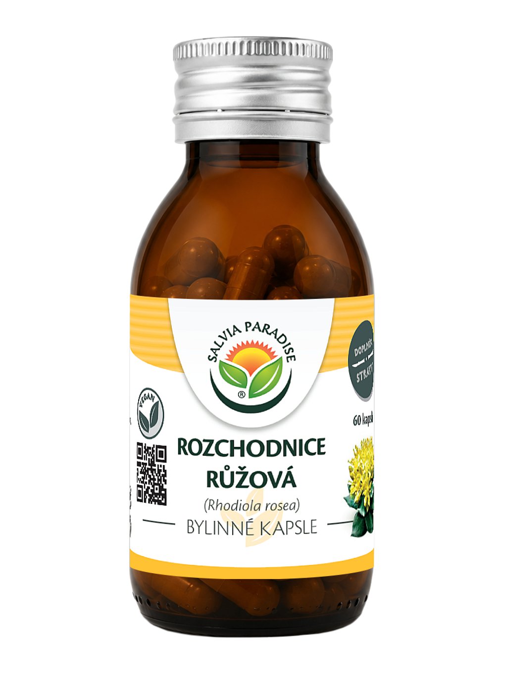 Rozchodnice růžová - Rhodiola kapsle 60 ks