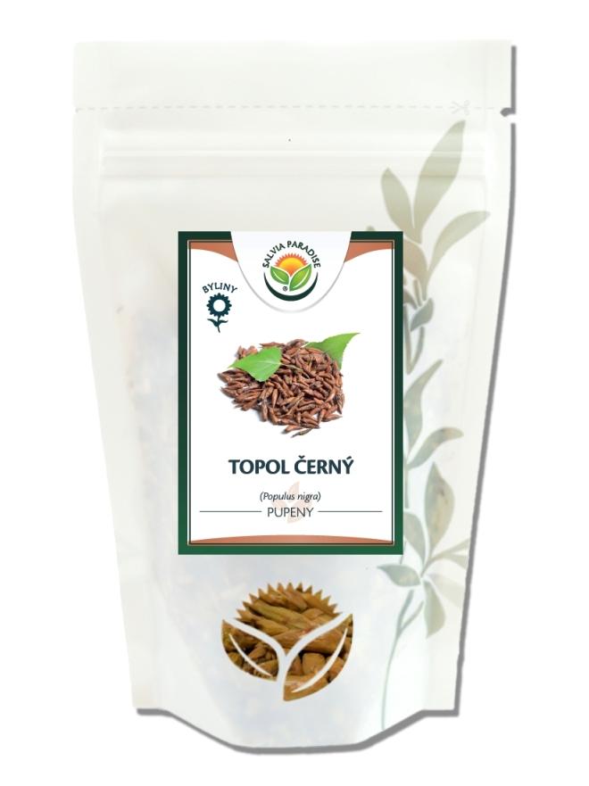 Topol černý pupeny - Kliknutím na obrázek zavřete
