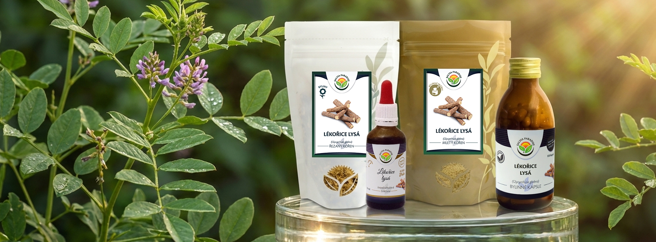 Lékořice - přírodní síla kořene v nových formách