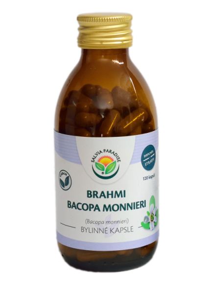 Brahmi - Bacopa monnieri kapsle 120ks