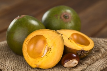 Lucuma Pouteria lucuma SalviaParadise.cz