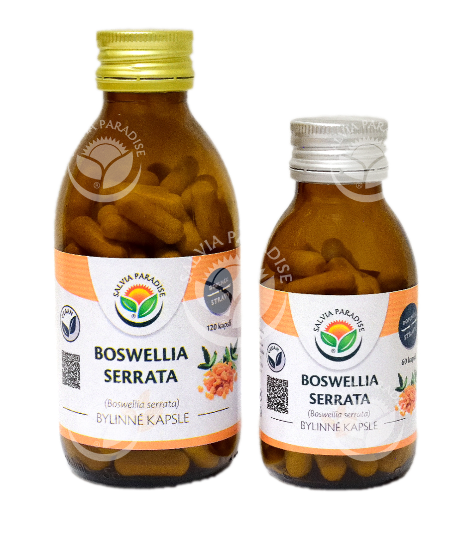 Boswellia