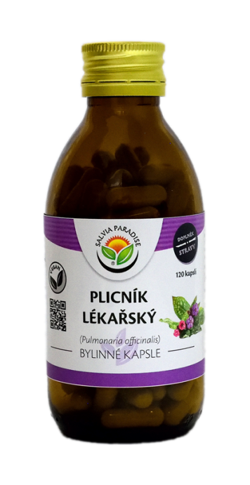 Plicník lékařský kapsle