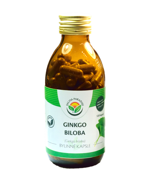 Ginkgo biloba kapsle 120 ks