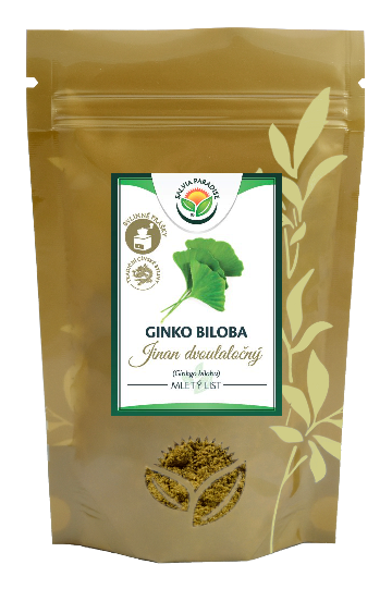 Ginko biloba mletý list