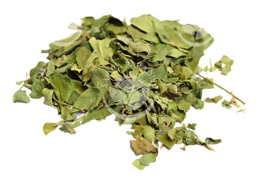 moringa