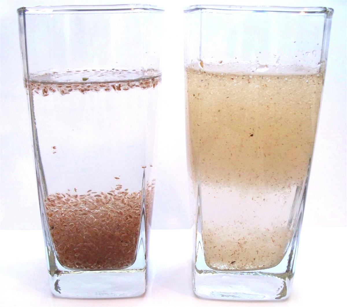 Вода растворяет сок. Псиллиум в воде. Псиллиум в стакане. Коктейль с псиллиумом. Набухший Псиллиум.
