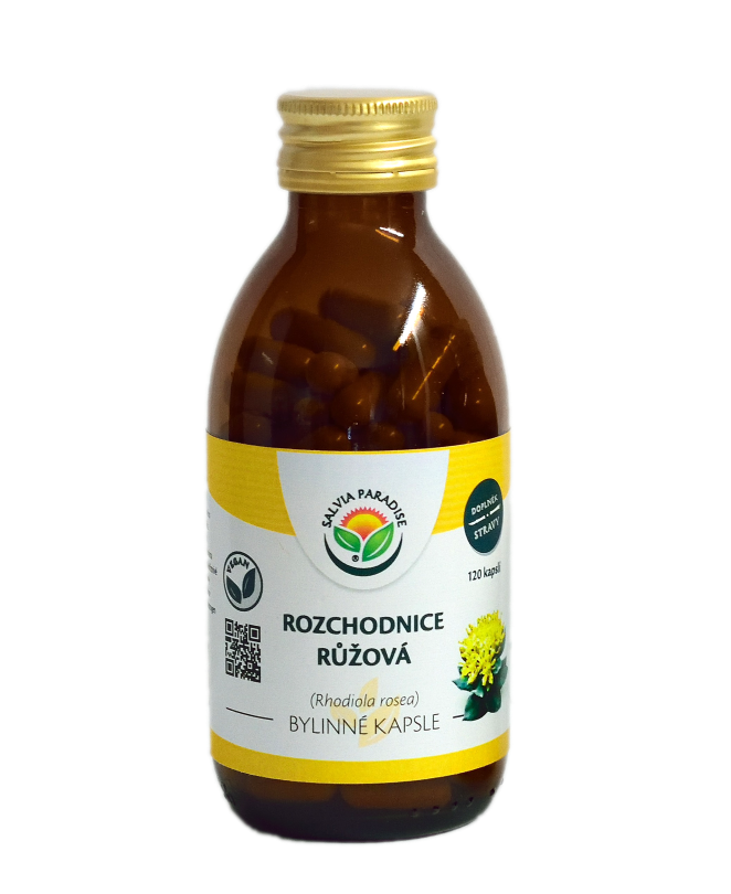 Rozchodnice růžová – Rhodiola kapsle 120 ks