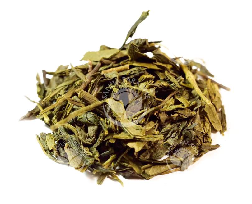 Sencha China surovina