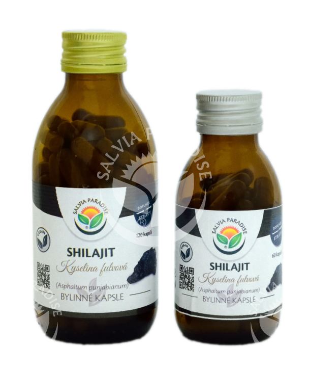 shilajit kapsle