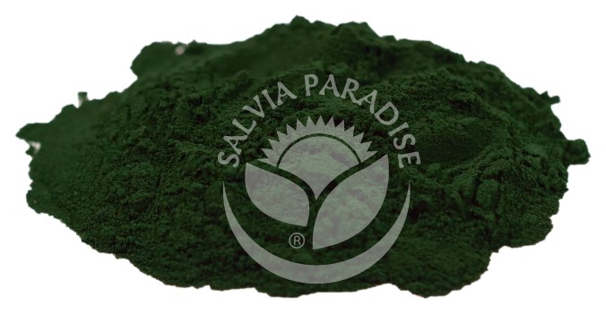 spirulina prášek