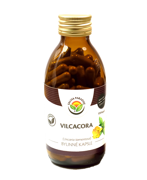 Vilcacora – Uncaria tomentosa kapsle