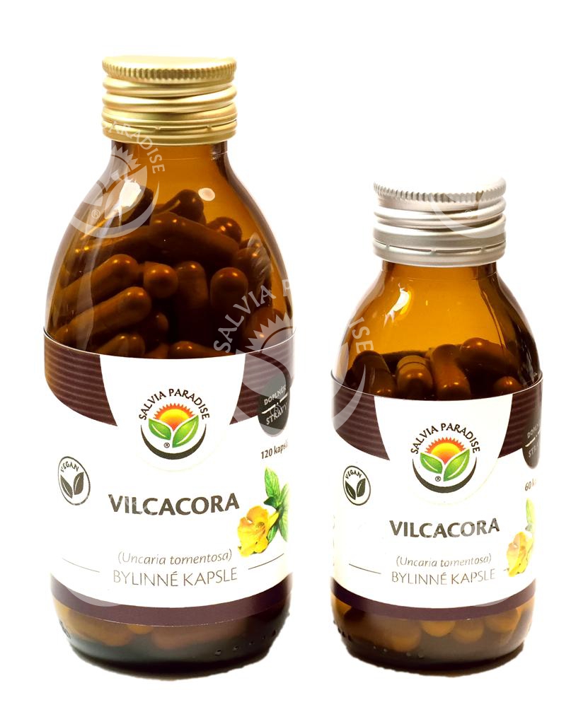 vilcacora-uncaria-tomentosa-kapsle-120-ks-salviaparadise-cz